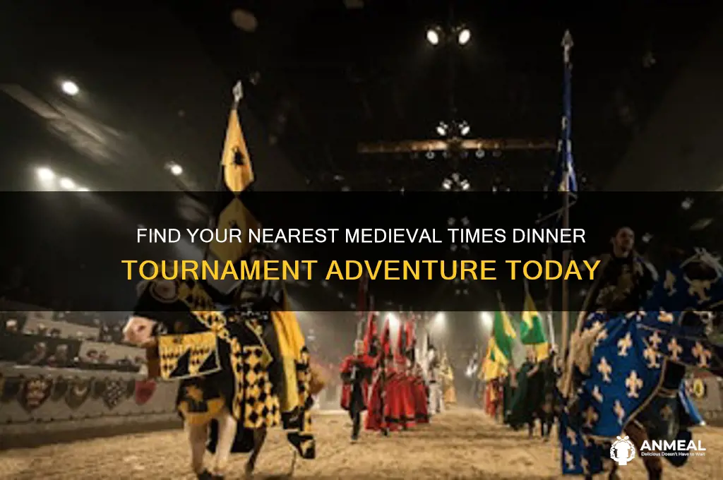 where is the nearest mid evil times dinner tournament