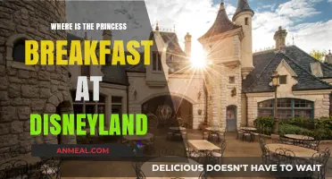 Discover the Magical Princess Breakfast Location at Disneyland Resort