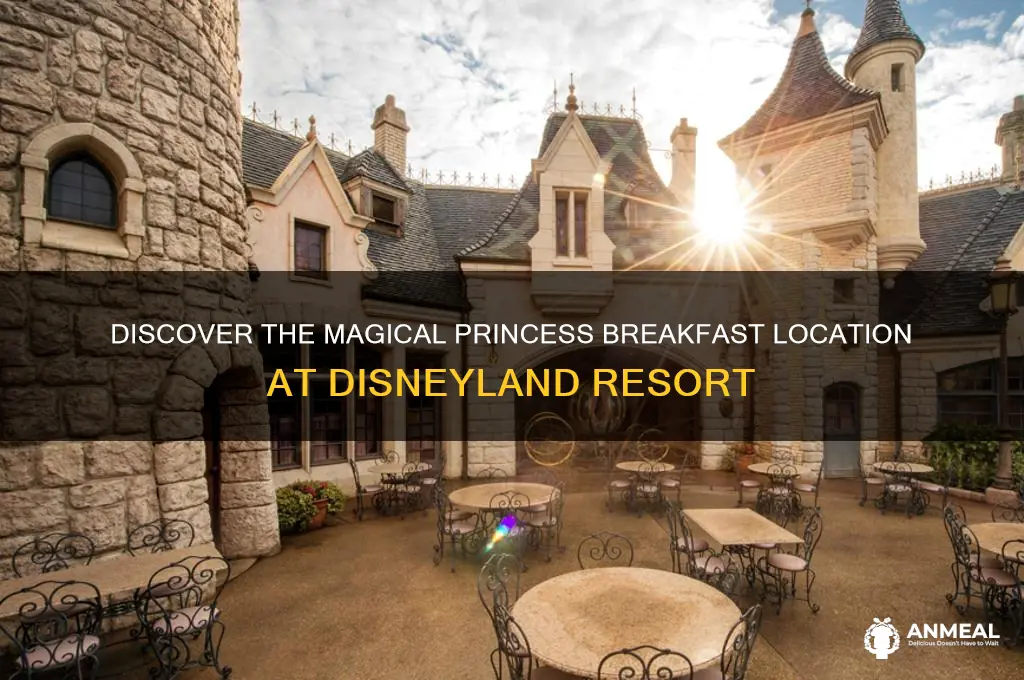 where is the princess breakfast at disneyland