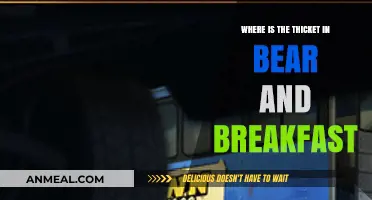 Finding the Thicket in Bear and Breakfast: A Guide to Its Location