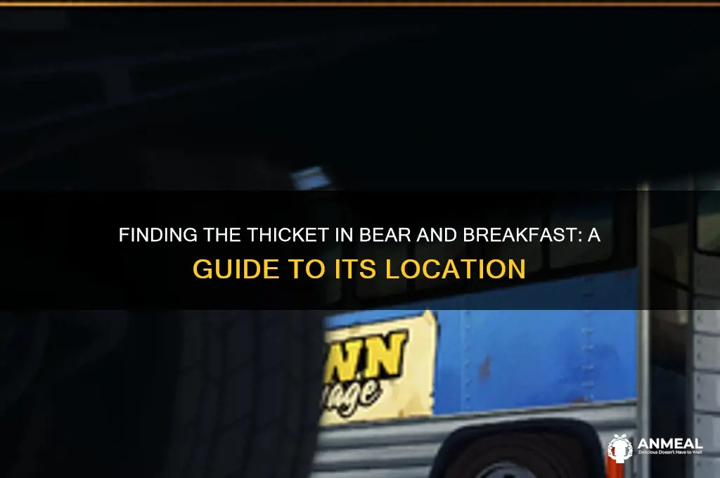 where is the thicket in bear and breakfast