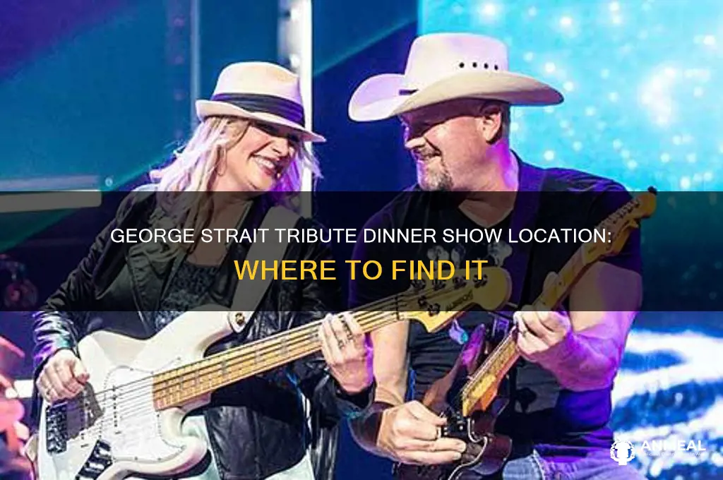 where is the tribute of george strait dinner show