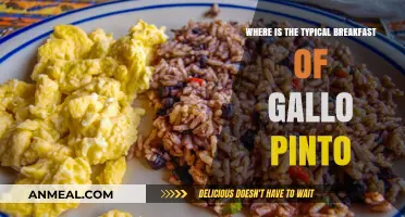 Exploring Gallo Pinto: The Heart of Central American Breakfast Culture