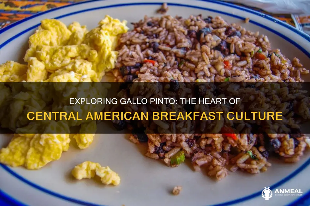 where is the typical breakfast of gallo pinto