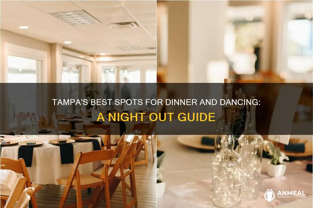 where is there dinner and dancing in tampa