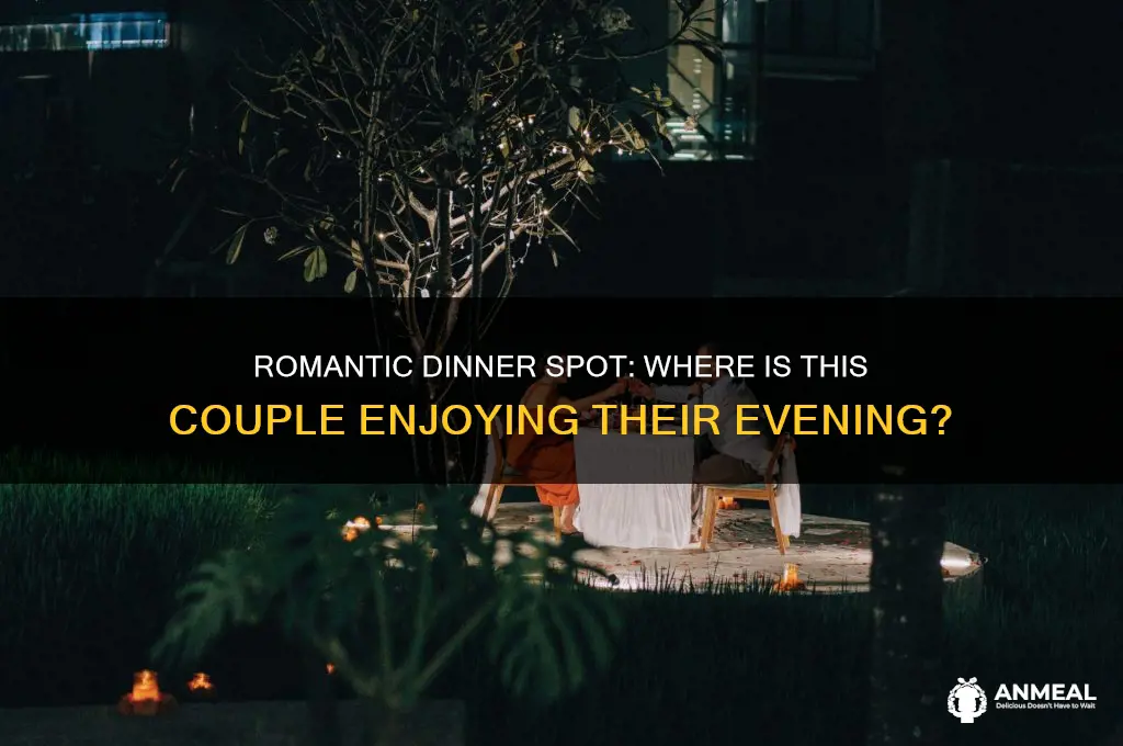 where is this couple having dinner together
