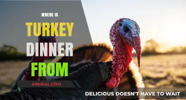 The Surprising Origins of Turkey Dinner: A Global Culinary Journey