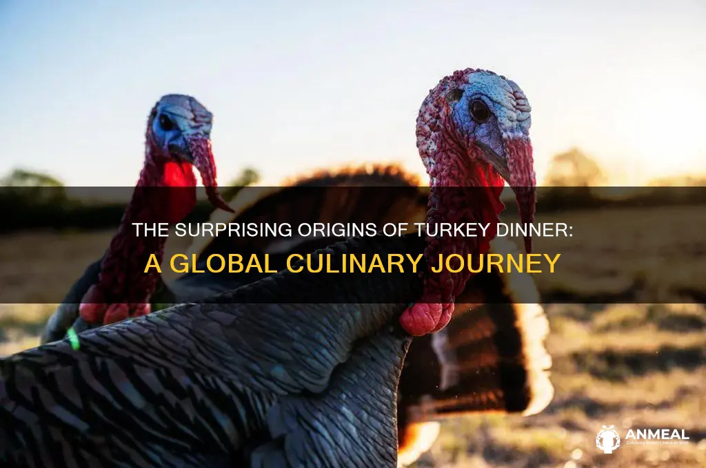 where is turkey dinner from
