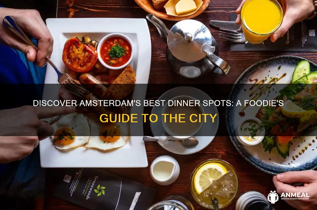 where should i go for dinner in amsterdam