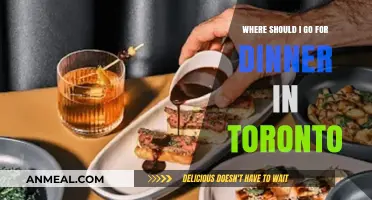 Toronto's Top Dinner Spots: A Foodie's Guide to the City