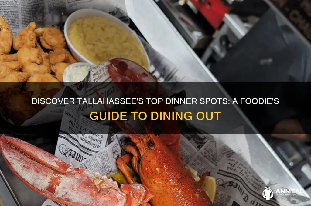 where should i go to dinner in tallahassee