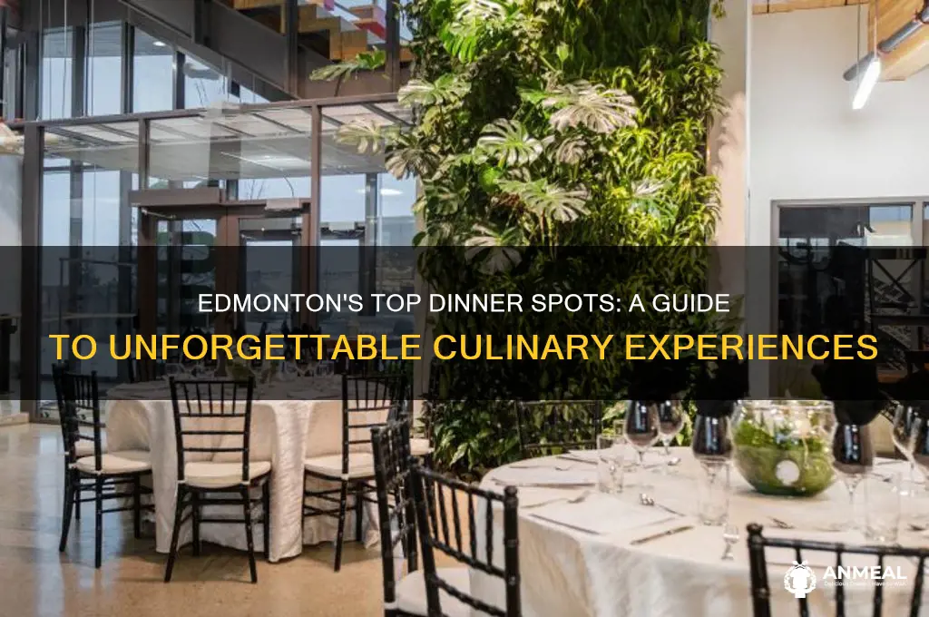 where should i have dinner in edmonton