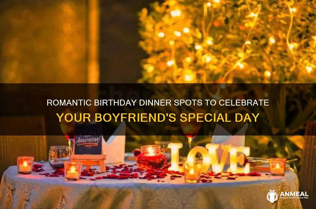 where should i take my boyfriend for his birthday dinner