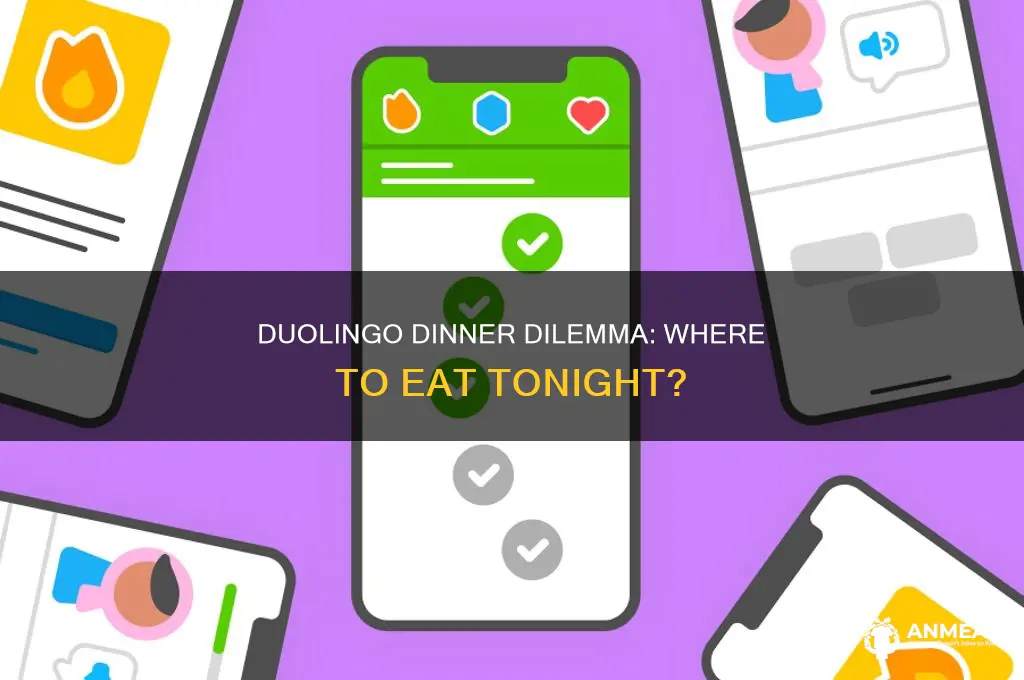 where should we have dinner this evening duolingo
