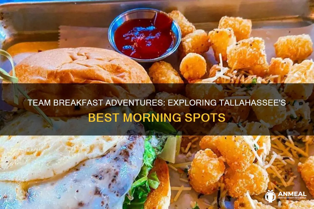 where team breakfast and tallahassee