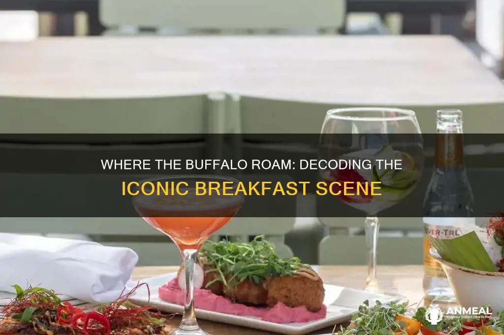 where the buffalo roam breakfast scene