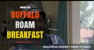 Where the Buffalo Roam: A Hearty Breakfast Adventure to Start Your Day