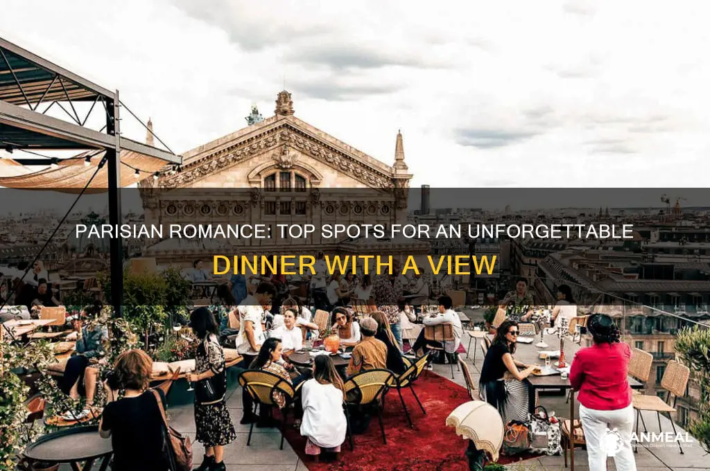where the romentic view dinner in paris
