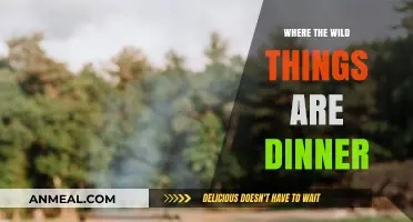 Where the Wild Things Are: A Magical Dinner Adventure Awaits