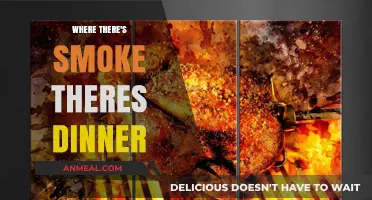 Where There's Smoke, There's Dinner: Mastering the Art of Grilled Delights