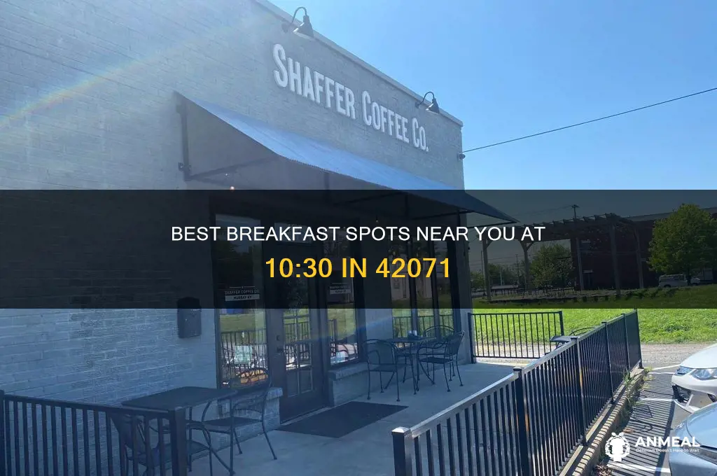 where to bet breakfast at 10 30 42071