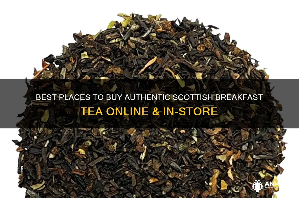 where to biy scottish breakfast tea