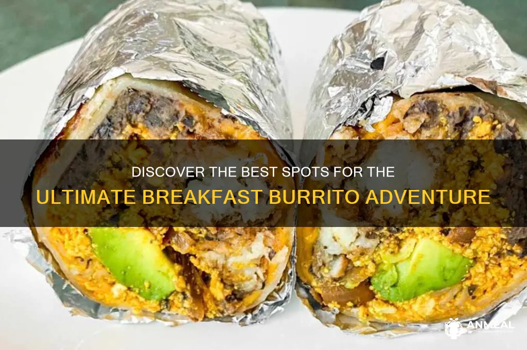where to breakfast burrito