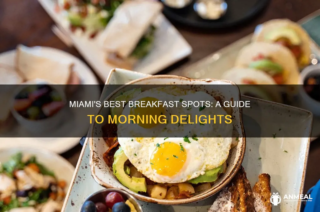 where to breakfast in miami