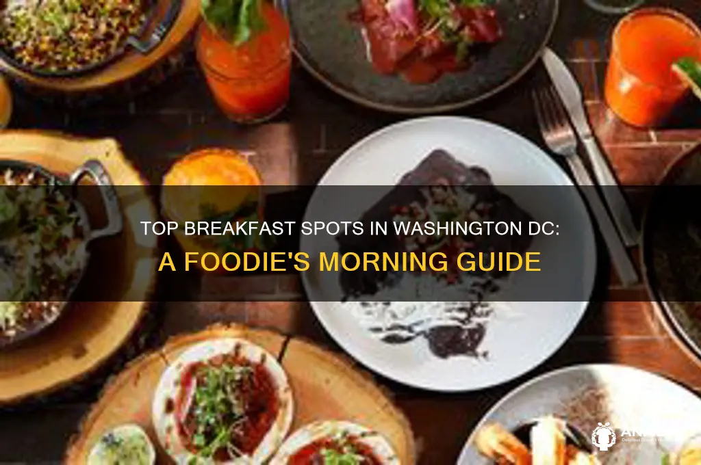 where to breakfast in washington dc
