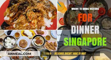 Top Dinner Spots in Singapore to Impress Your Visitors