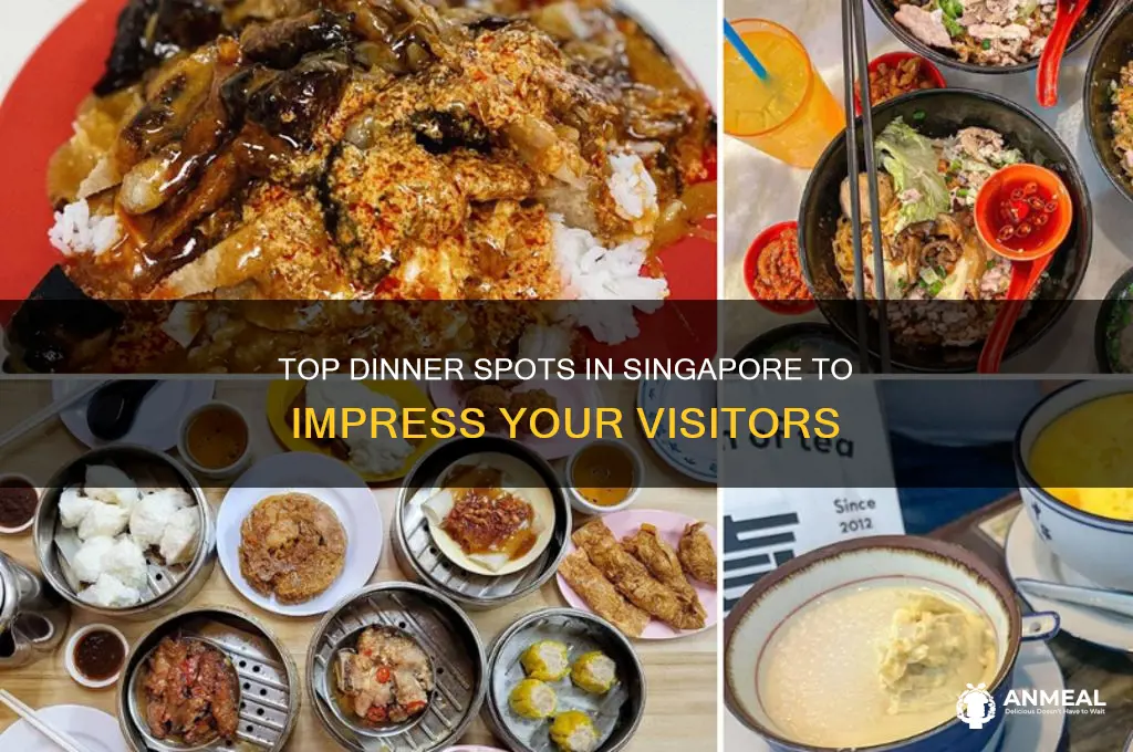 where to bring visitors for dinner singapore