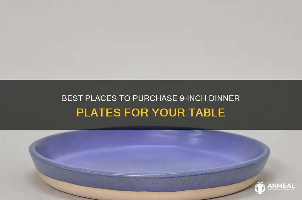 where to buy 9 inch dinner plates