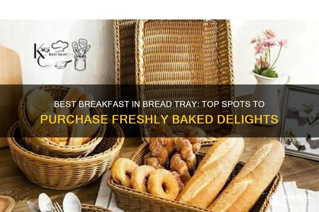 where to buy a breakfast in bread tray
