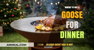 Best Places to Purchase a Delicious Goose for Your Dinner