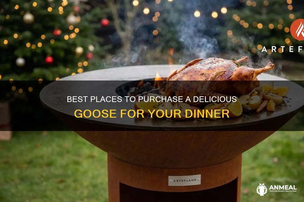 where to buy a goose for dinner