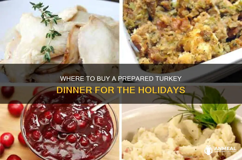 where to buy a prepared turkey dinner