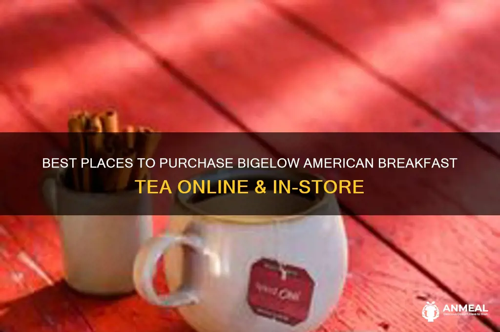where to buy bigelow american breakfast tea