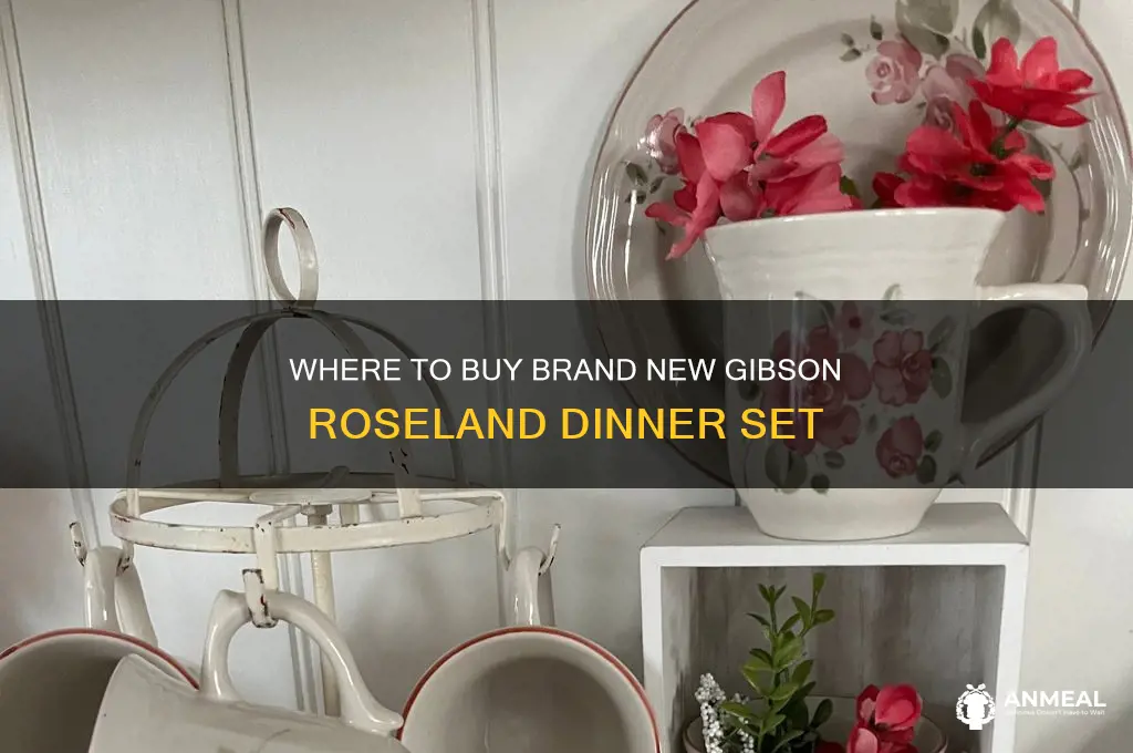 where to buy brand new gibson roseland dinner set