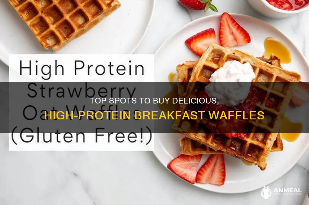 where to buy breakfast best protein waffles