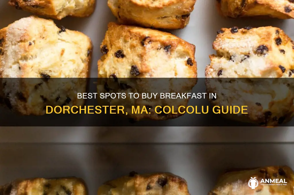 where to buy breakfast dorchester ma colcolu