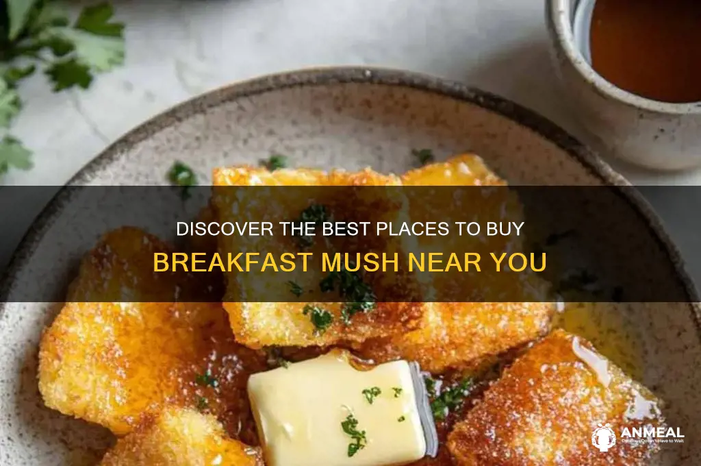 where to buy breakfast mush