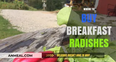Discover the Best Places to Buy Fresh Breakfast Radishes Today