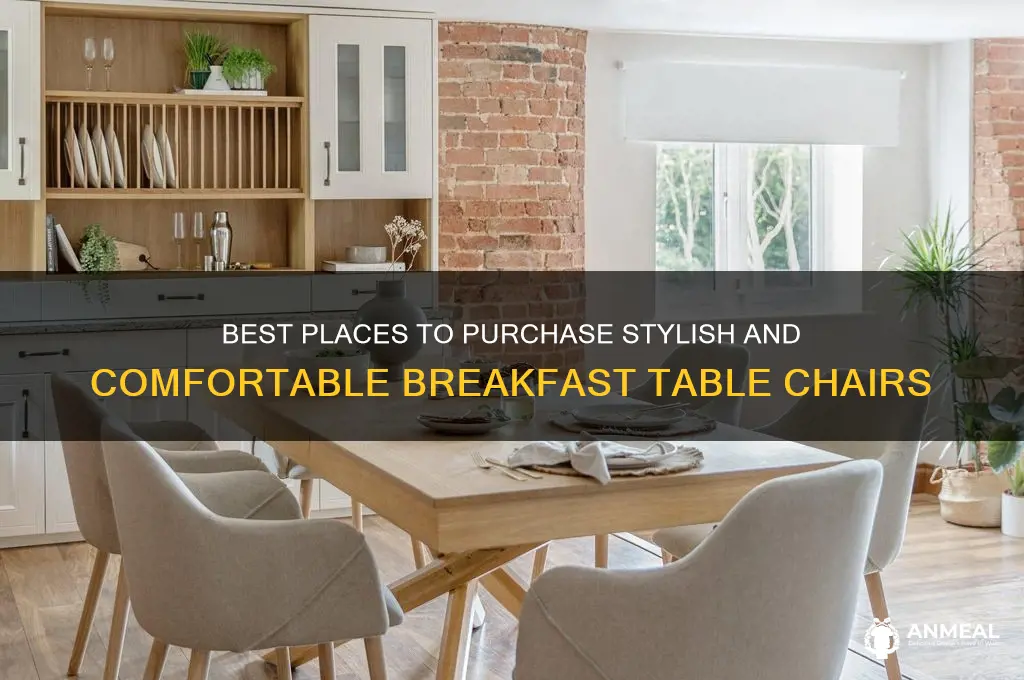 where to buy breakfast table chair