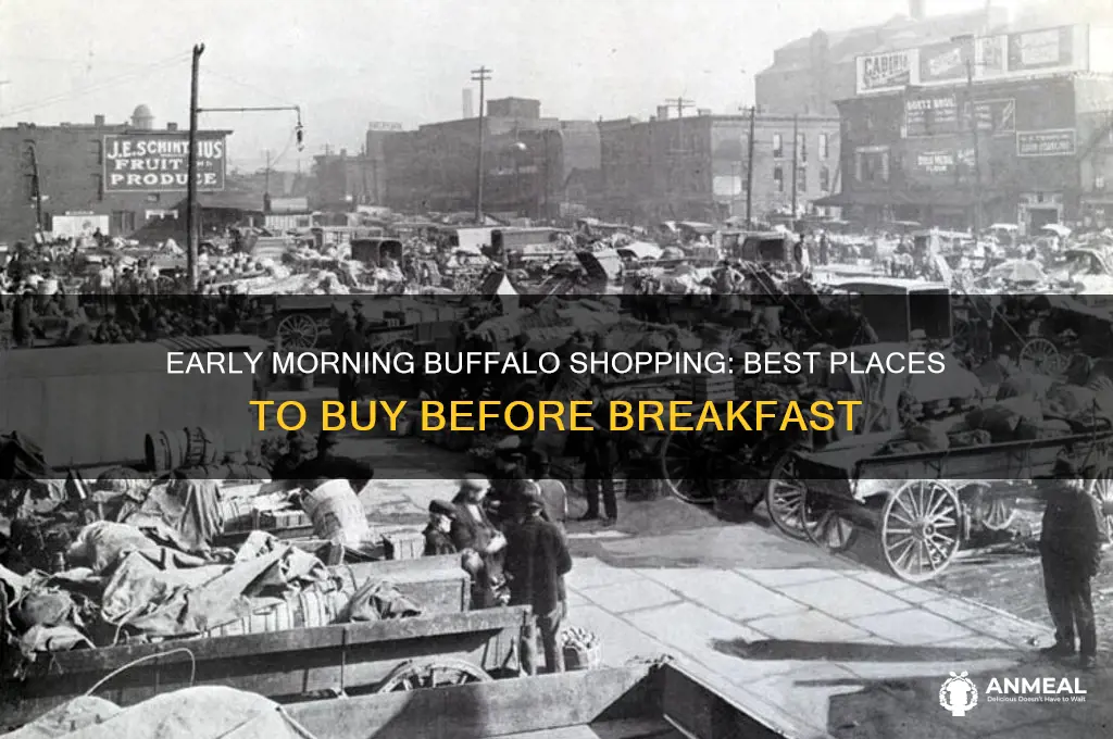 where to buy buffalo before breakfast