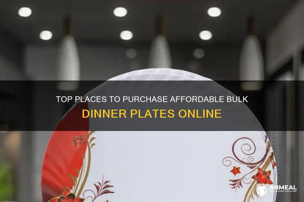 where to buy bulk dinner plates