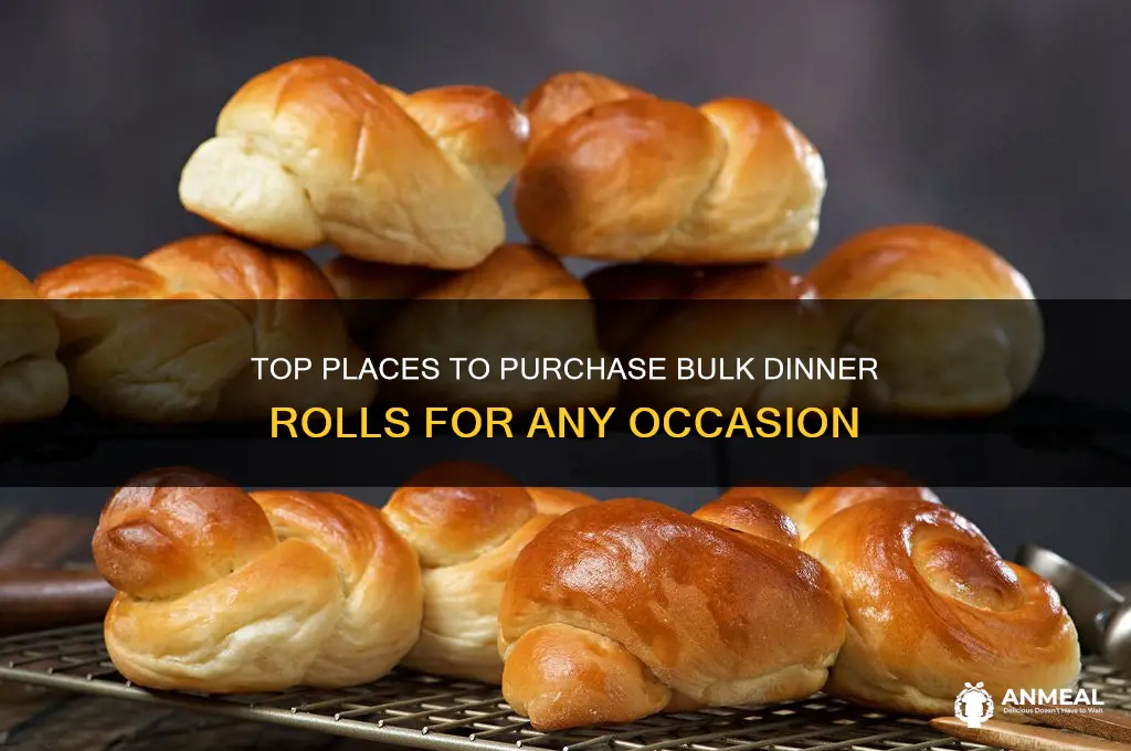 where to buy bulk dinner rolls