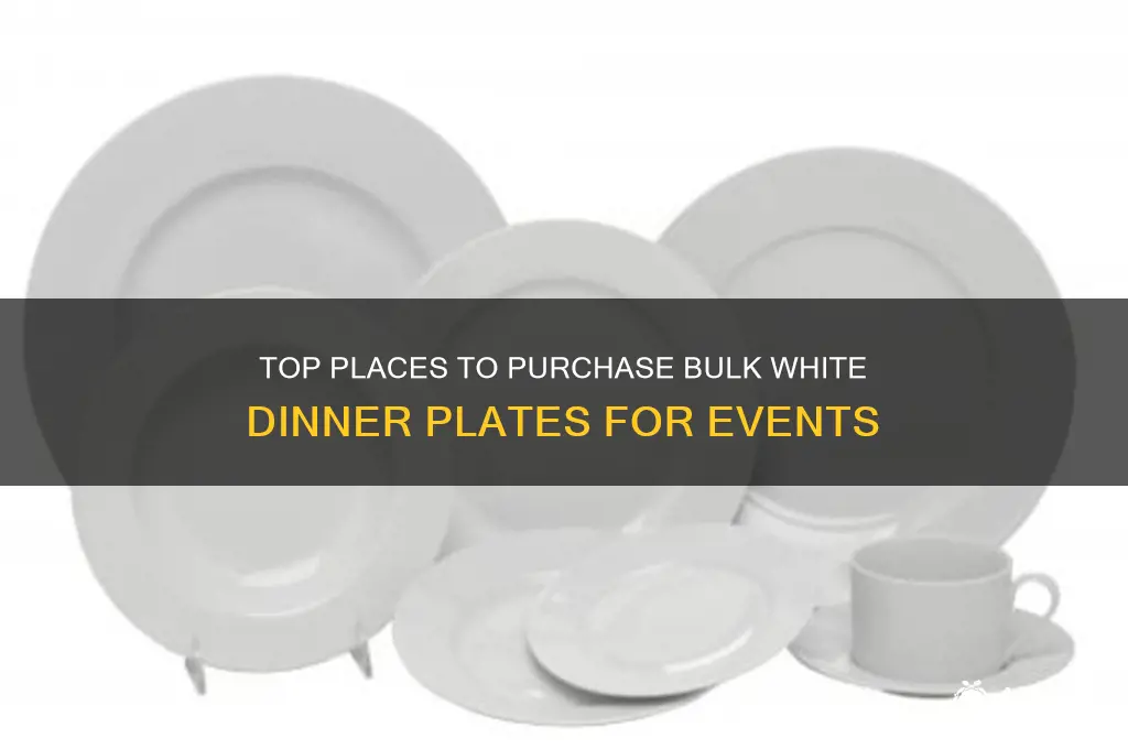 where to buy bulk white dinner plates