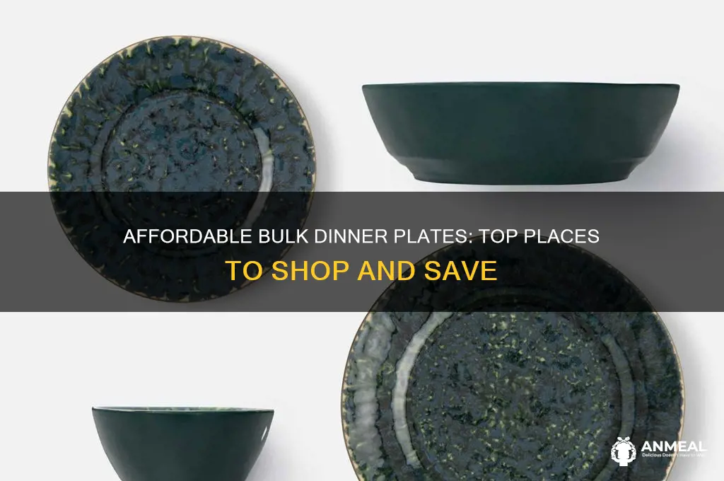 where to buy cheap bulk dinner plates