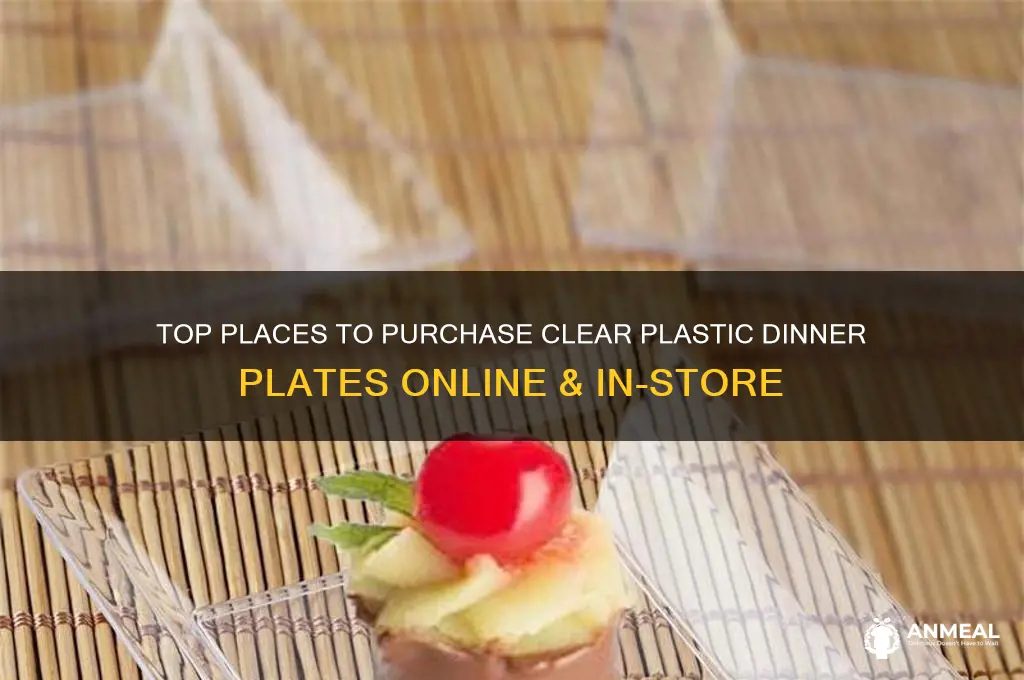where to buy clear plastic dinner plates