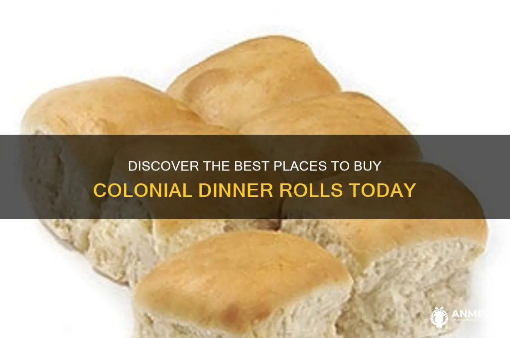 where to buy colonial dinner rolls